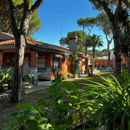 Chalet Los Pinos Con Piscina Privada Ново-Санкти-Петри Экстерьер фото