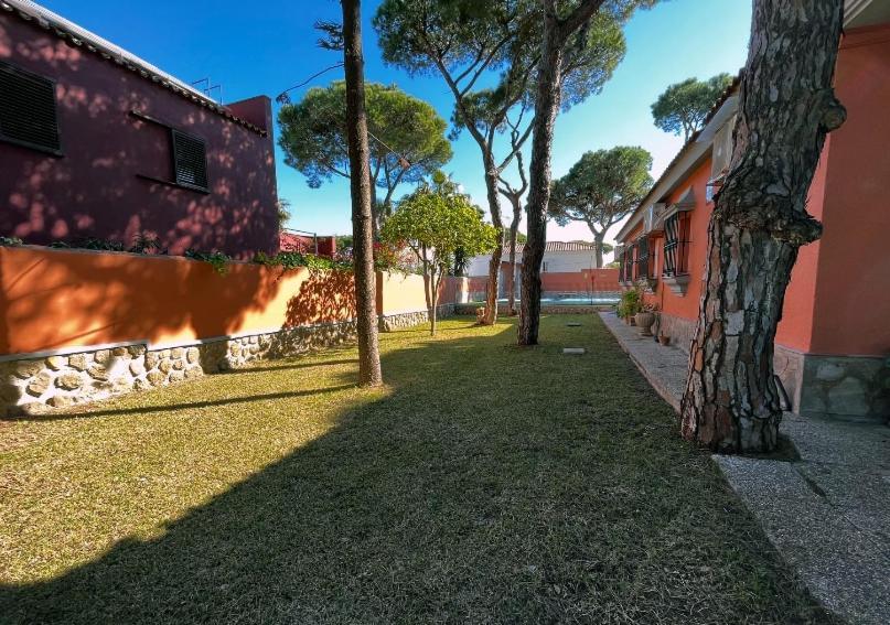 Chalet Los Pinos Con Piscina Privada Ново-Санкти-Петри Экстерьер фото