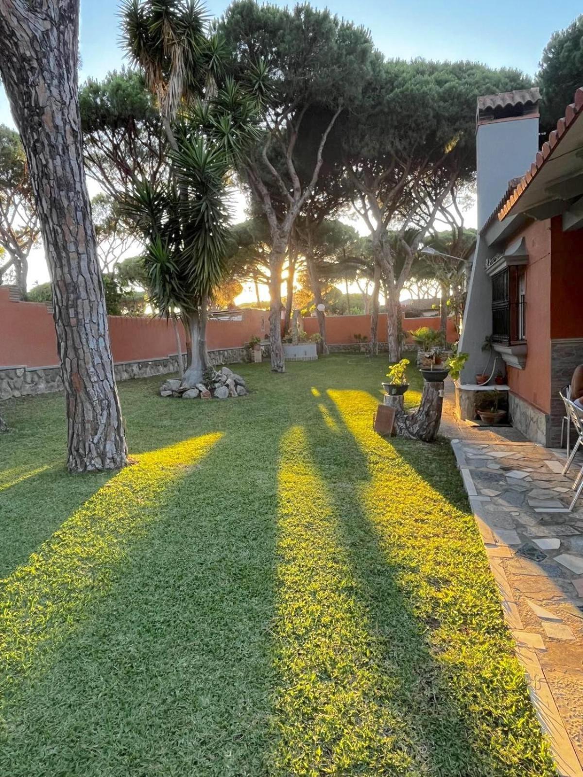 Chalet Los Pinos Con Piscina Privada Ново-Санкти-Петри Экстерьер фото